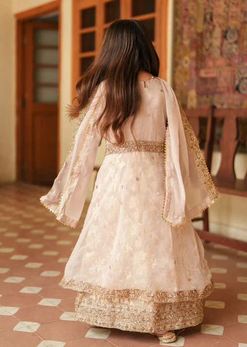 Hassens 3Pc Embraided Chiffon Kids Suit Muntaha Kids gulbuy.com