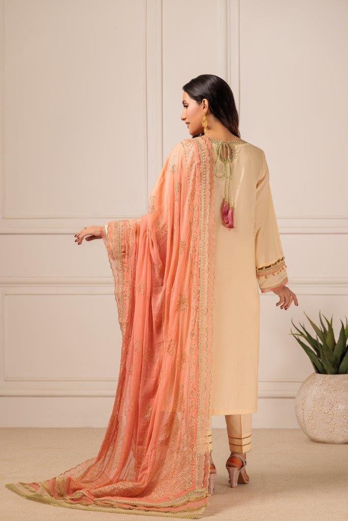 BONANZA SATRANGI 3PC EMBROIDERED CAMBRIC SUIT (HV1K233P06)