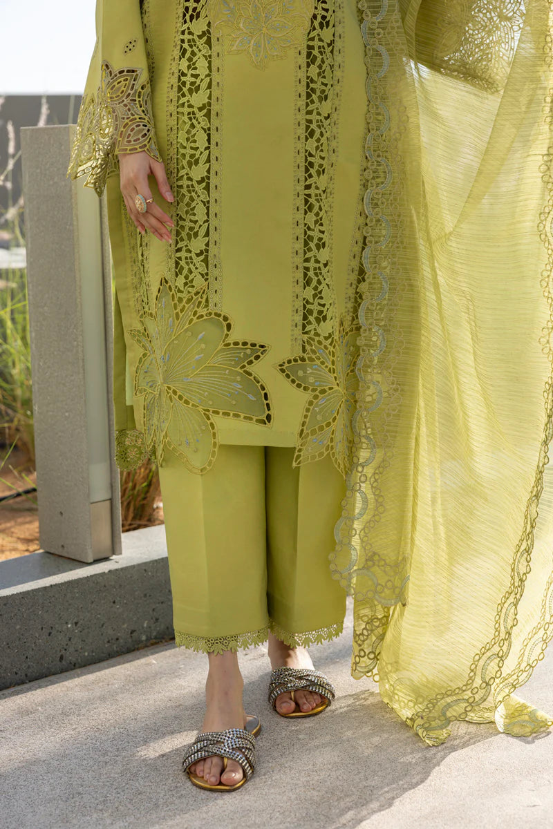 Rang Rasiya 3Pc Embroidered Lawn Suit Aaleen gulbuy.com