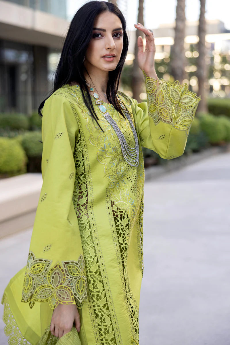 Rang Rasiya 3Pc Embroidered Lawn Suit Aaleen gulbuy.com