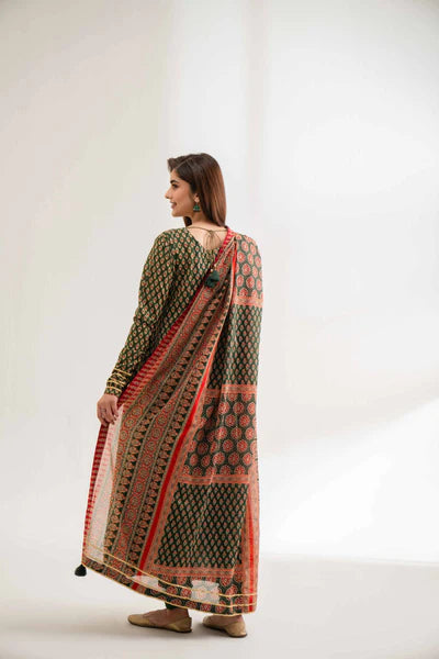 Nishat 3Pc Printed Lawn Suit 42501969 gulbuy.com