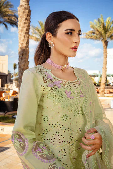 Rang Rasiya 3Pc Embroidered Lawn Suit Ayleen gulbuy.com