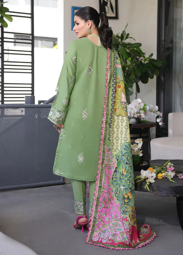 Sahane 3PC Embroidered Lawn Suit CT-11004 Sage - Sera gulbuy.com