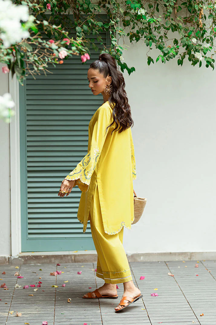 Dhanak 2Pc Embroidered Lawn Suit SS25DC-2571 gulbuy.com