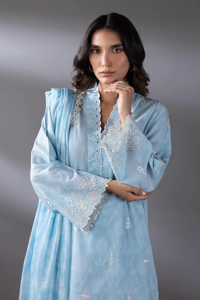 Sana Safinaz 2Pc Printed Linen Suit SS25ESE294P3 gulbuy.com