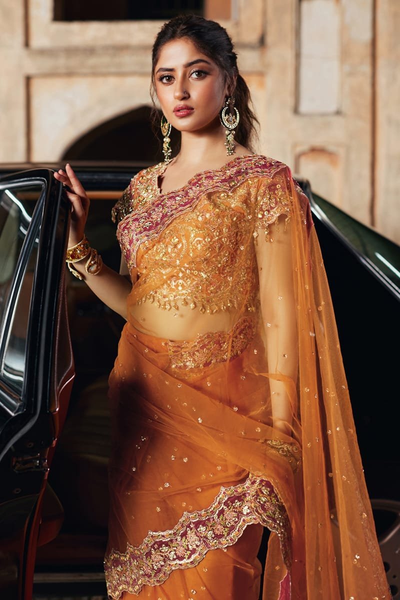 Qalamkar 3Pc Embroidered Raw Silk Suit Raniya SH-02 gulbuy.com