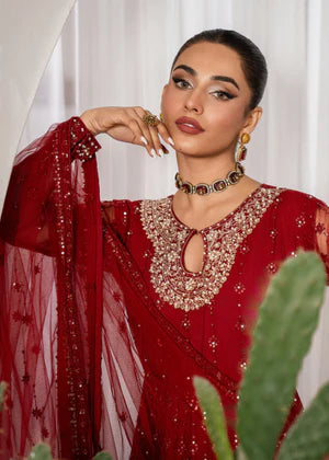 Agha jaan 3Pc Embroidered Net Suit GUL MOHR gulbuy.com
