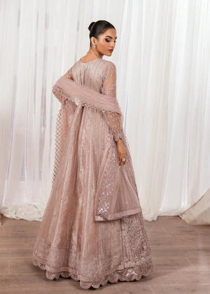 Agha jaan 3Pc Embroidered Net Suit CERSIE gulbuy.com