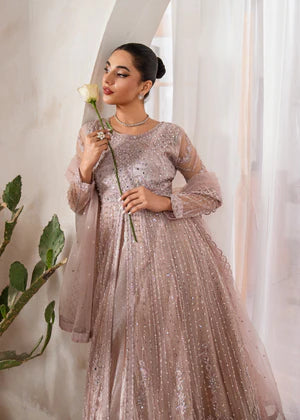 Agha jaan 3Pc Embroidered Net Suit CERSIE gulbuy.com