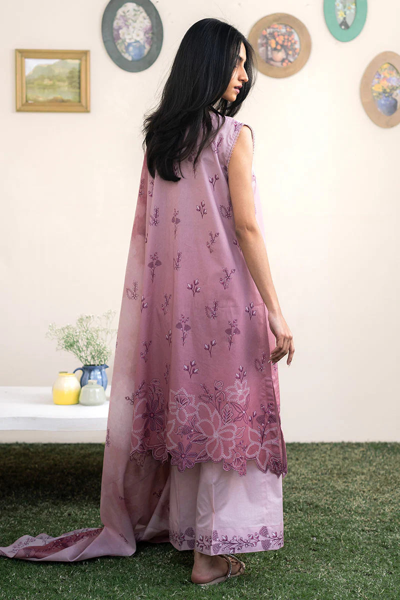 dailywear 2 0017 DSC020432 1